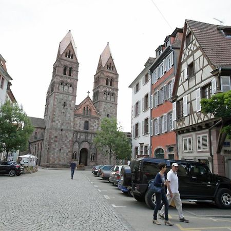 Gite Le Colombier Selestat - 30Min Europapark Sélestat Exterior foto